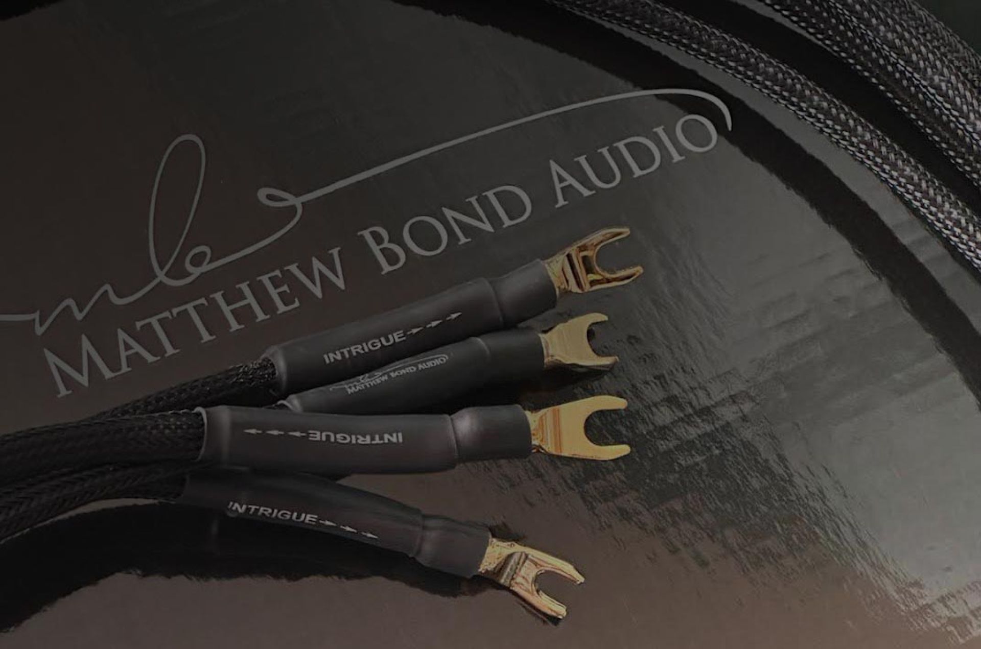 Intrigue Series amplifier connection cable