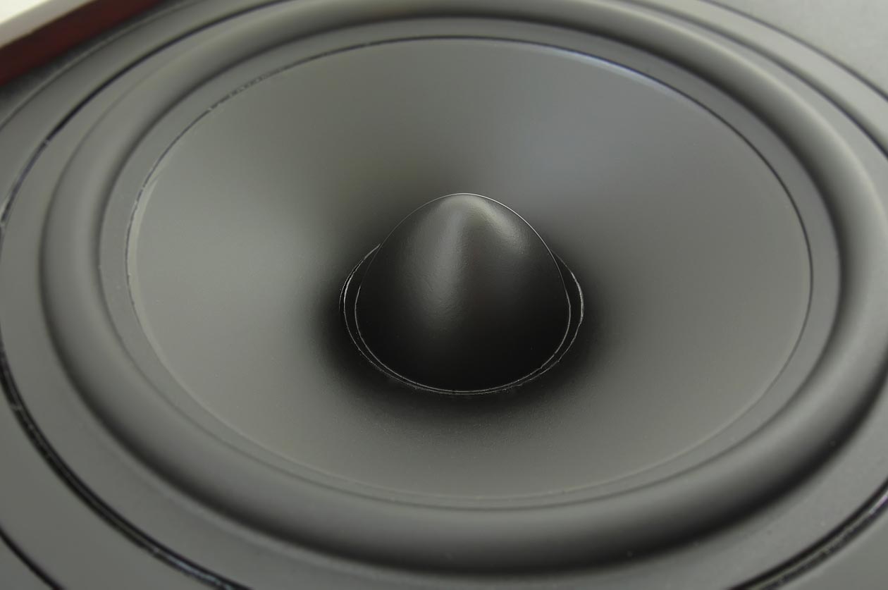 audio speaker woofer cone closeup